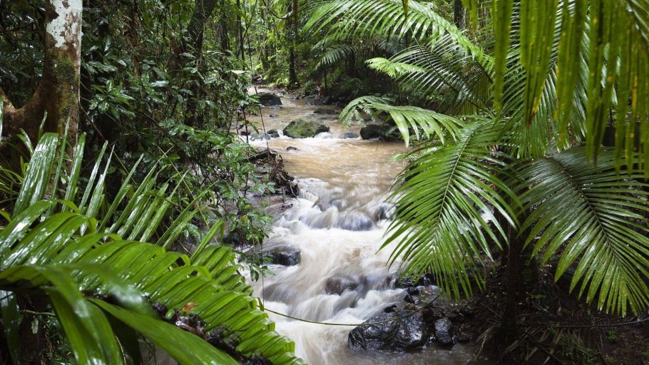 Национальный парк Дейнтри