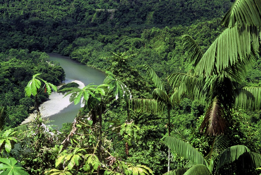 Сельва Колумбия