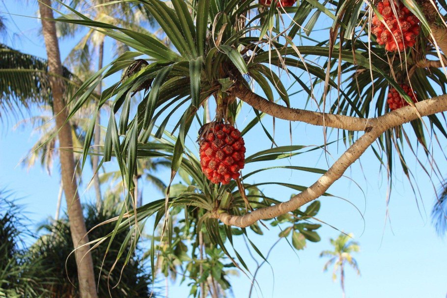 Острова Раджа-Ампат