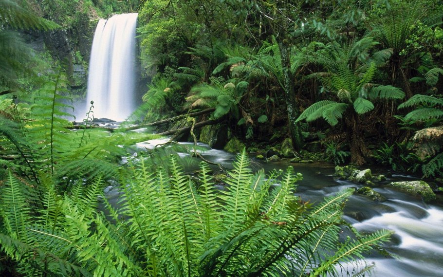 Флора и фауна Океании