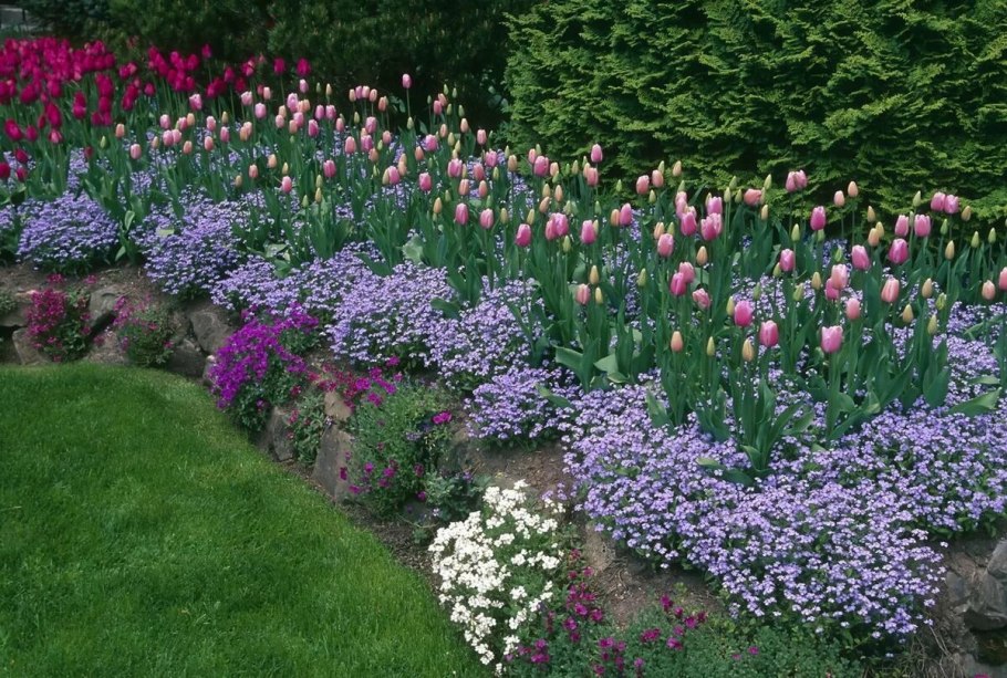 Розарий рабатка