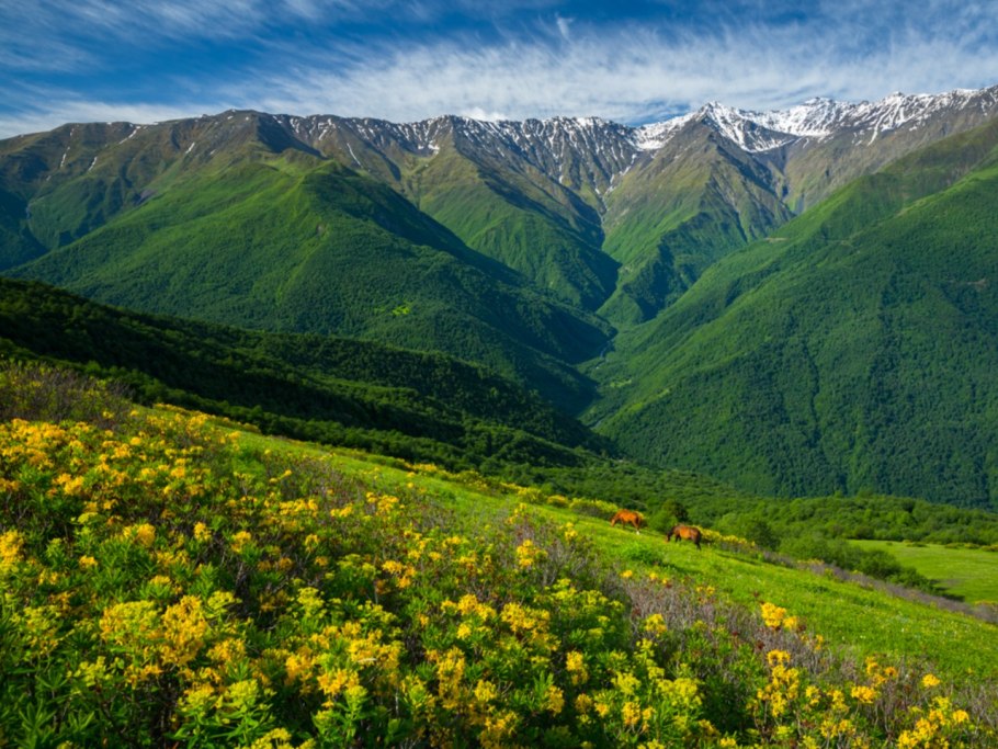 Баварские Альпы в Германии