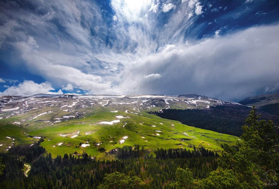 Румыния Альпийские Луга