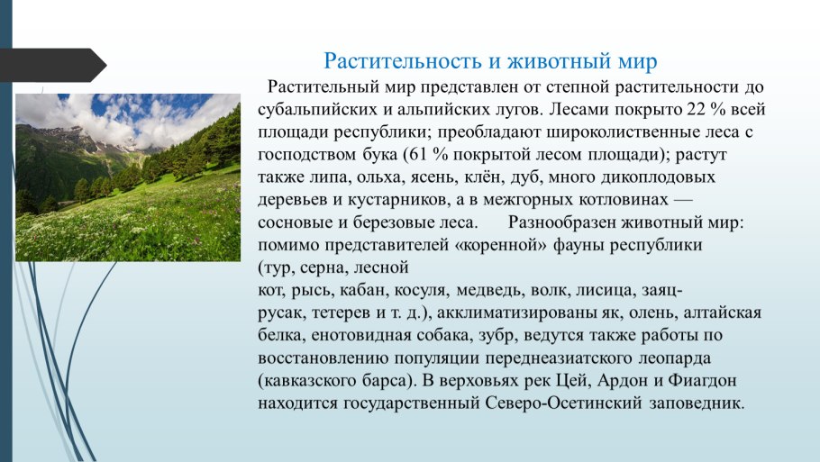 Субальпийские и Альпийские Луга природная зона. Субальпийские и Альпийские Луга Краснодарского края. Таблица субальпийские Луга Альпийские Луга. Альпийские Луга Краснодарского края растения.