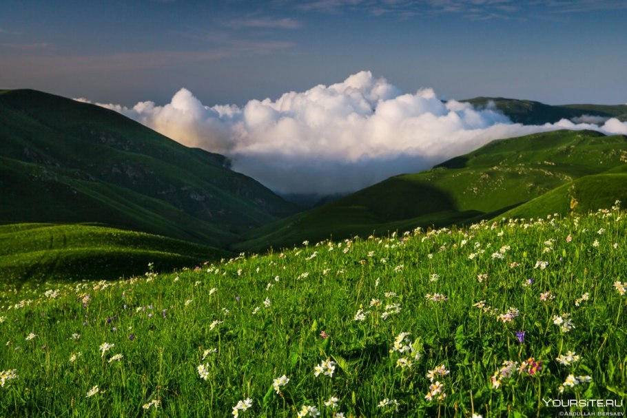 Альпийские Луга Абхазия
