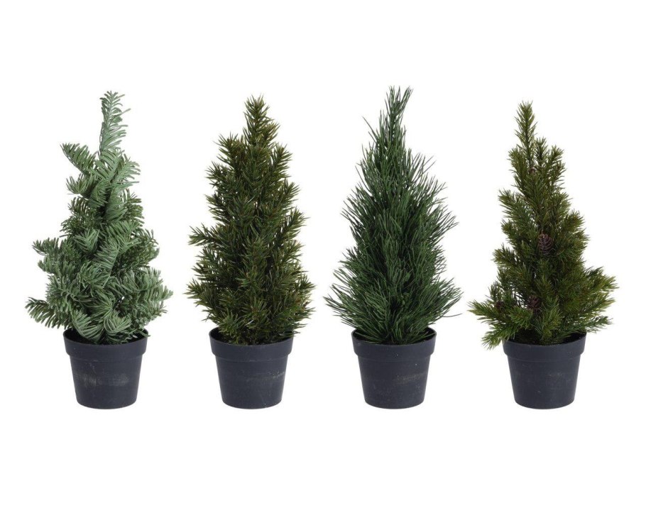 Ель крупномеры