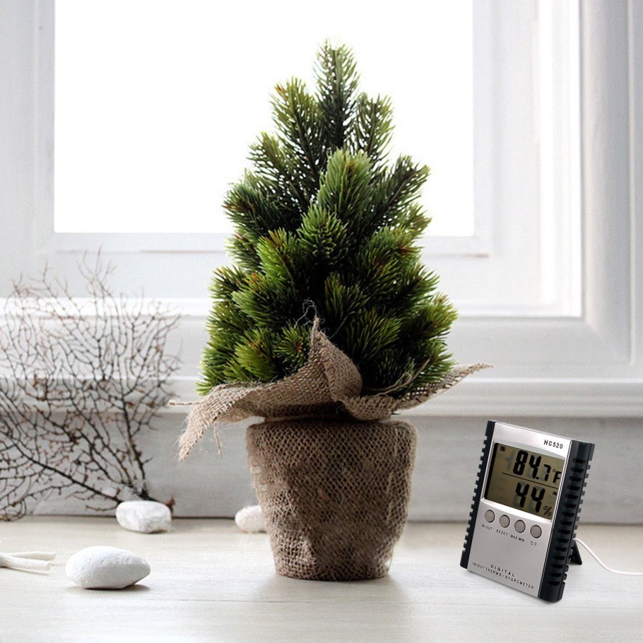 Новогодняя елка в горшке