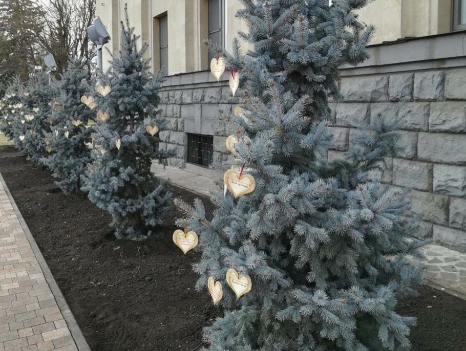 Можжевельник Инверса
