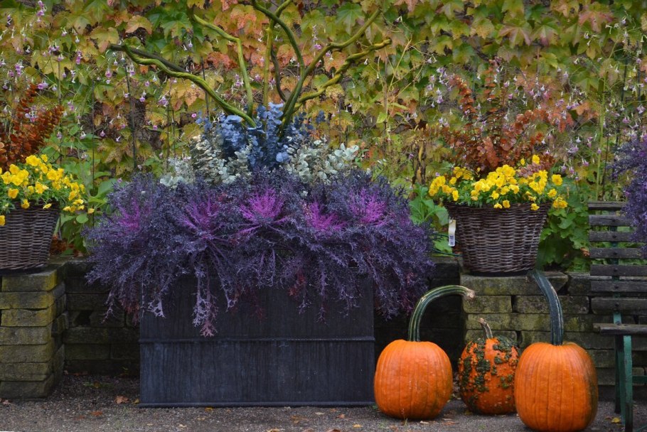 Осенний цветник