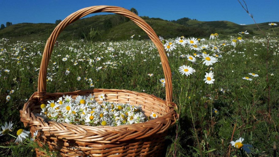 Заповедники Кузбасса Кузнецкий Алатау