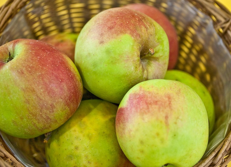 Венгерские яблоки в СССР сорта Джонатан