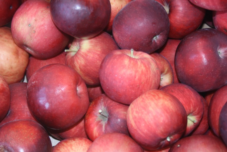 Яблоки Джонатан