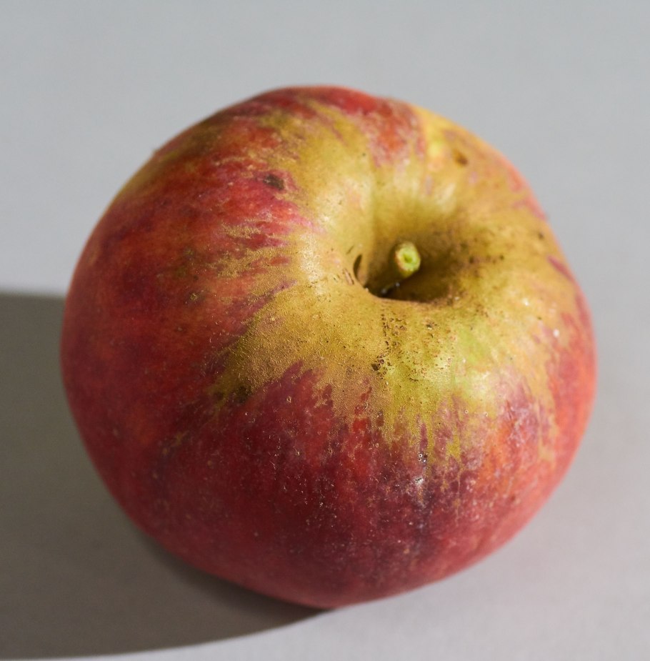 Яблоня Хани (Хоней) Крисп