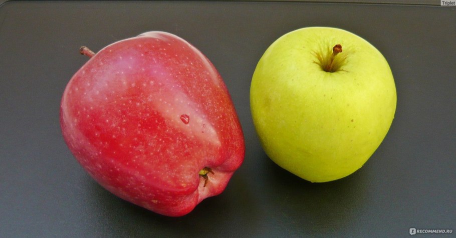 Сорт яблони Глостер