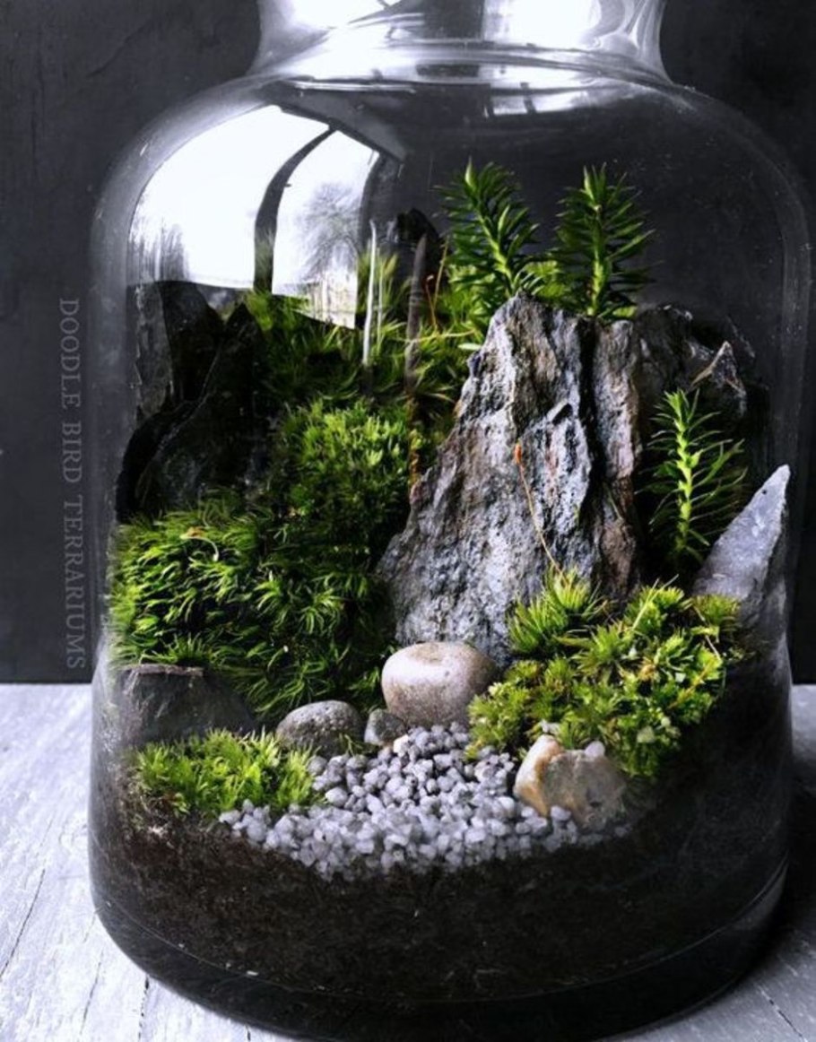 Terrarium Moss террариумный мох