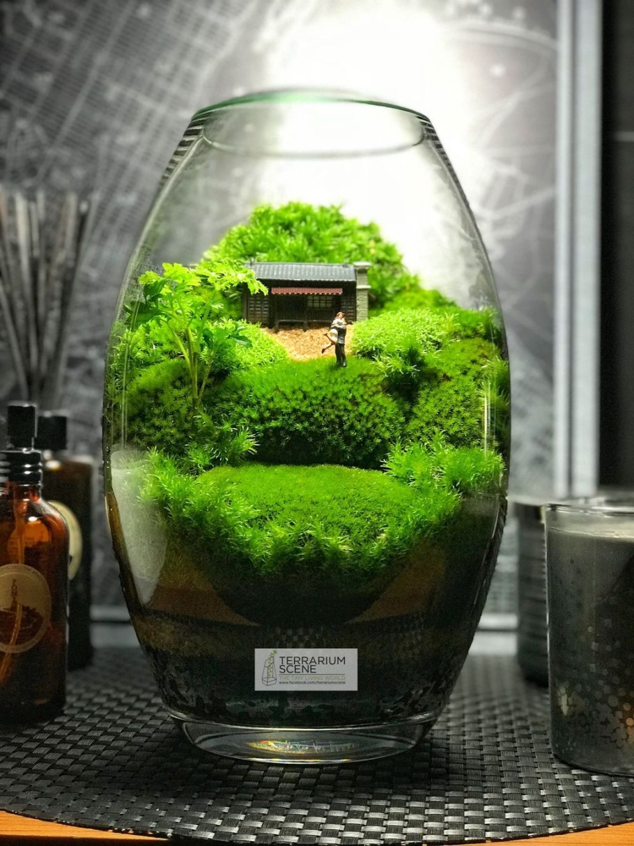 Terrarium Moss террариумный мох