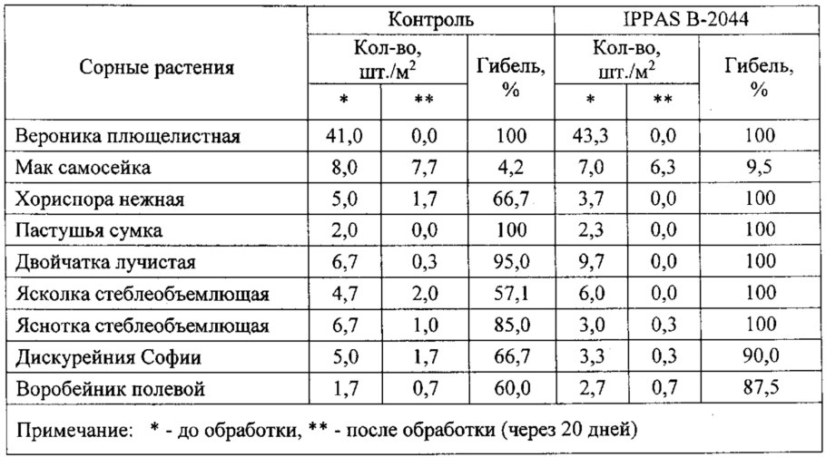 Крестовка ползучая сорняк