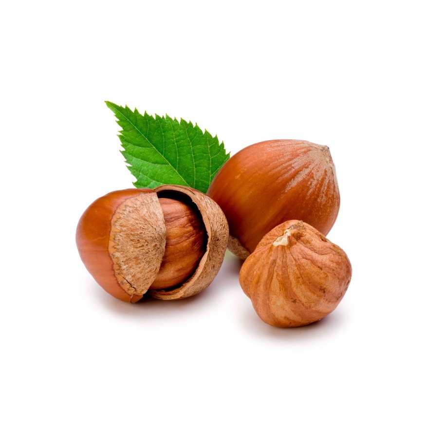 Каштан орех съедобный