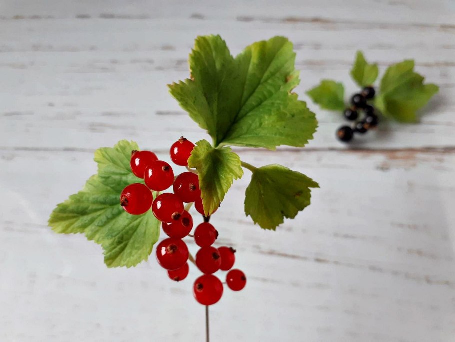 Чайный сервиз красная смородина