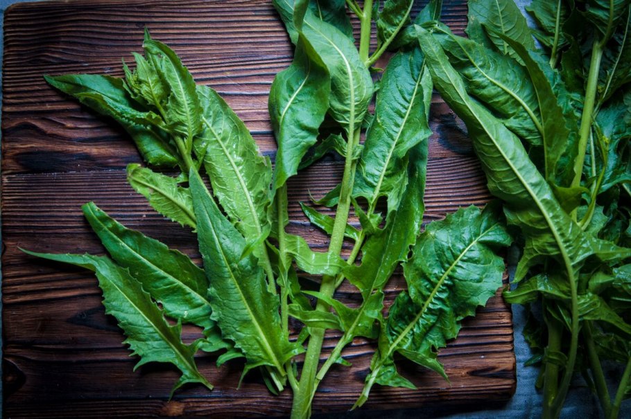 Свербига Восточная стебель