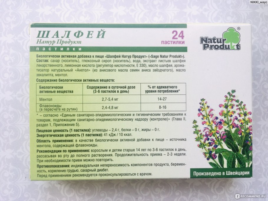 Мята круглолистная Вариегата