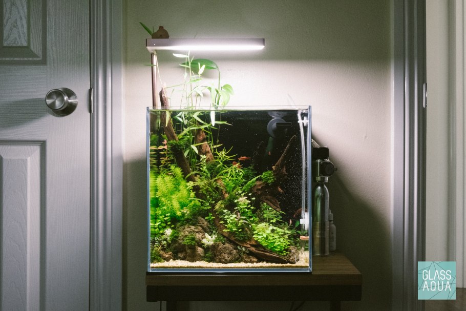 Ферма аквариумных растений