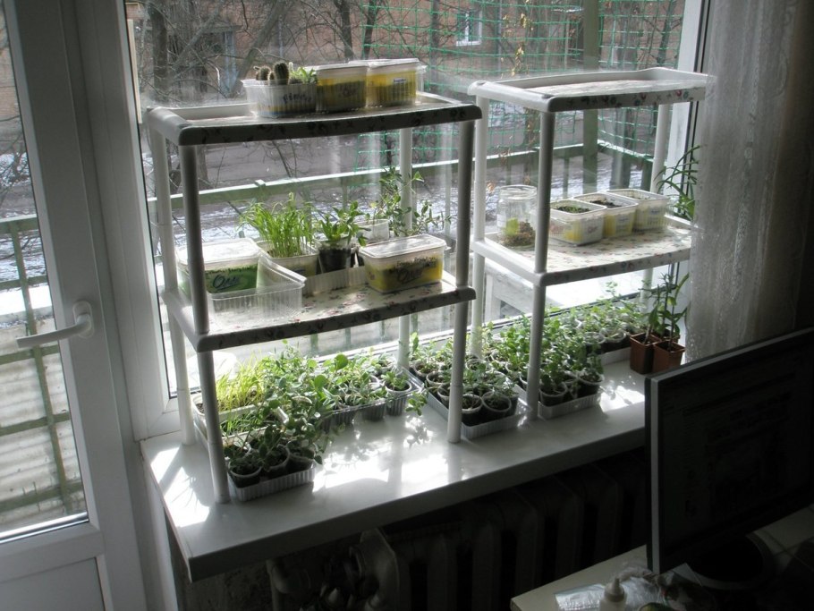 Low Tech аквариумы