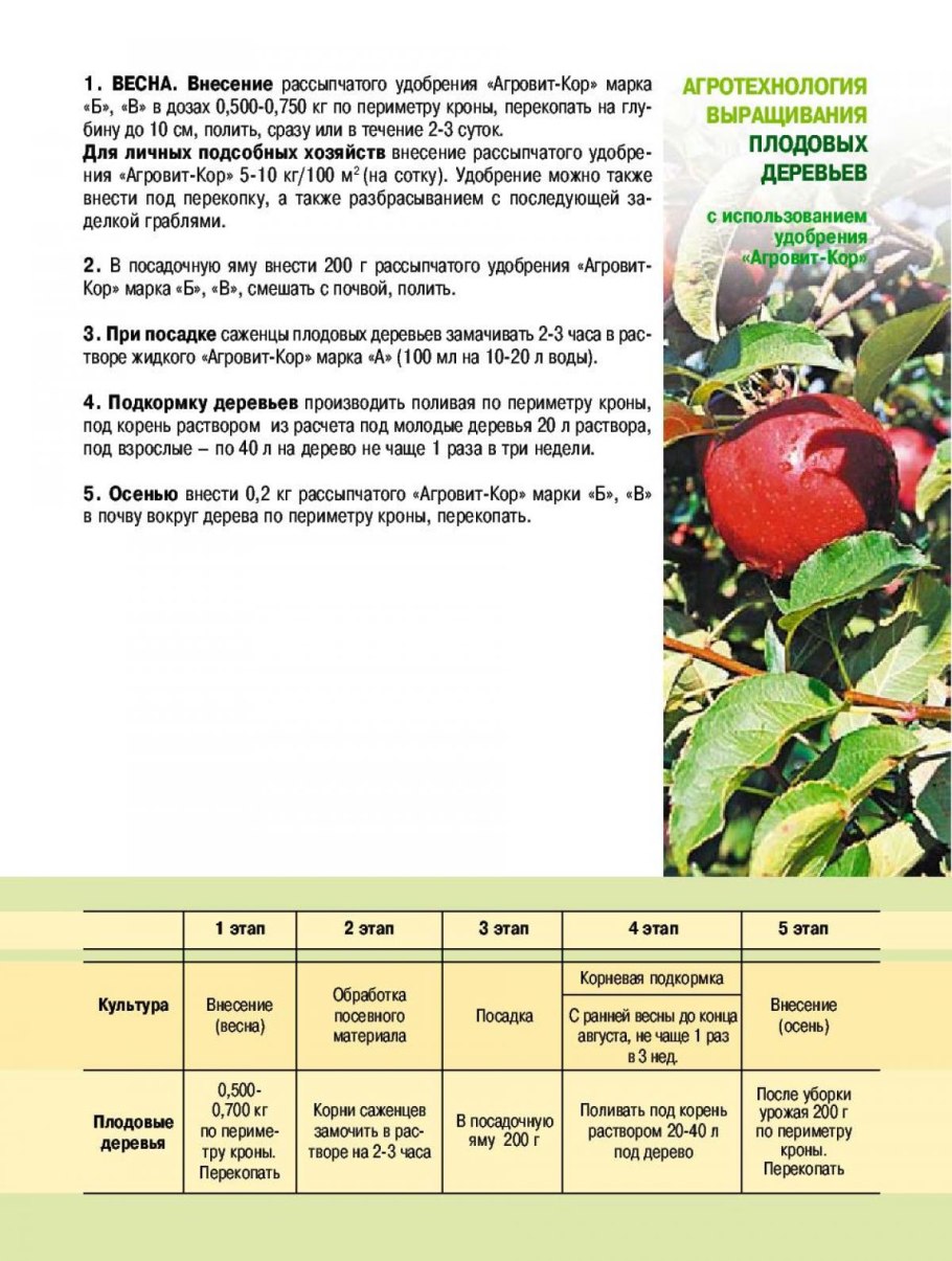 Схема подкормки плодовых деревьев