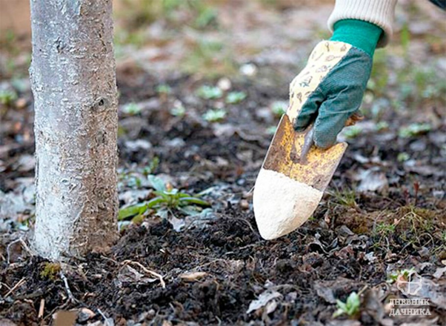 Осеннее удобрение для плодовых деревьев