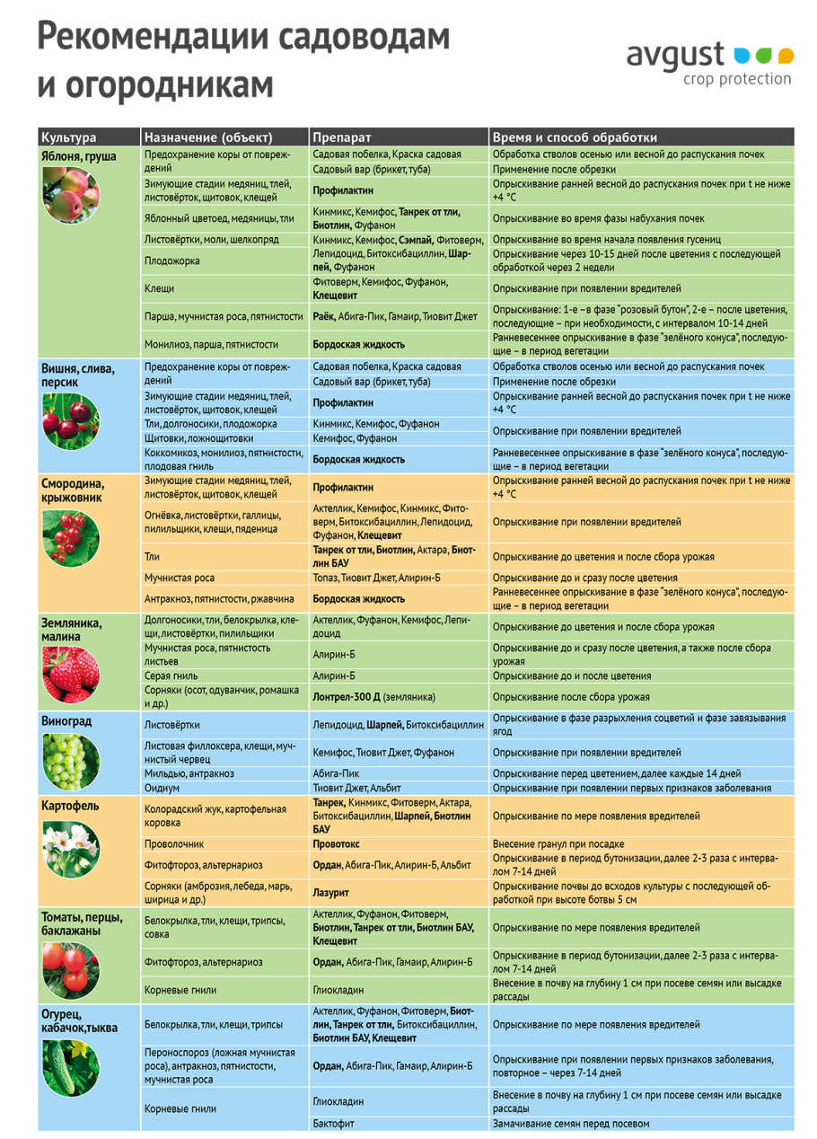 Схема подкормки плодовых деревьев и кустарников