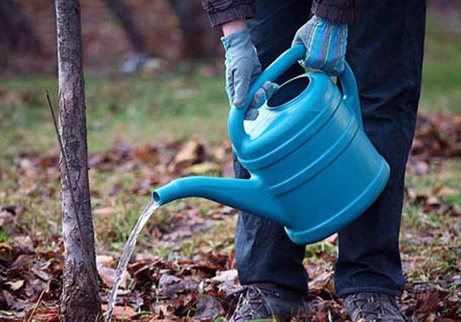 Подзимний влагозарядковый полив
