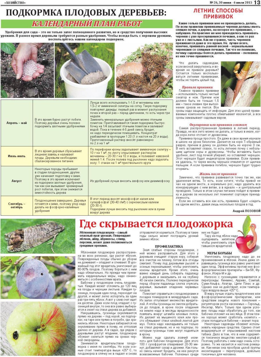 Схема удобрения плодовых деревьев