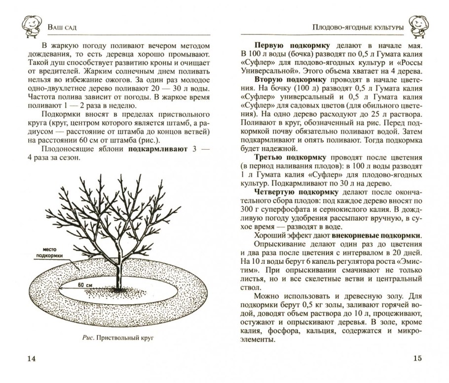 Схема подкормки яблонь