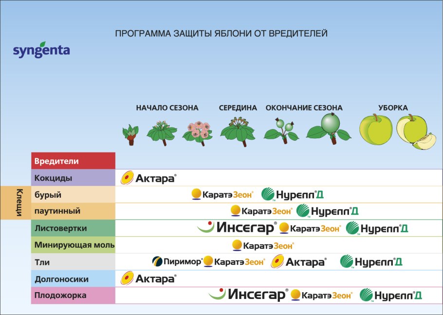 Система защиты косточковых культур от вредителей и болезней