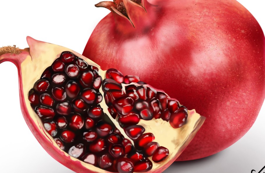 Строение граната фрукт