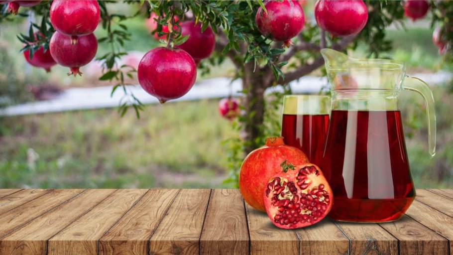 Гранат дерево