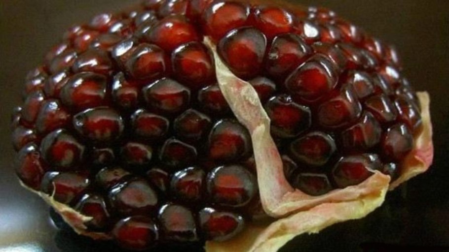 Сорт граната с белыми зернами