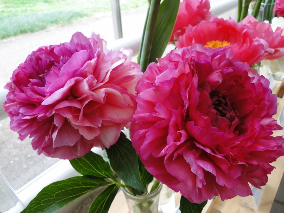 Bess Bockstoce – Бесс Бокстос