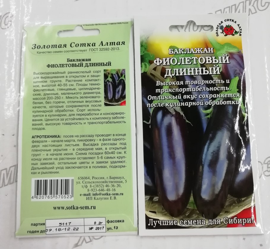 Баклажан Багира