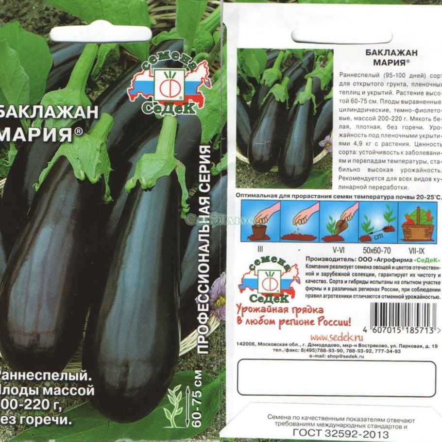 Баклажан черный красавец