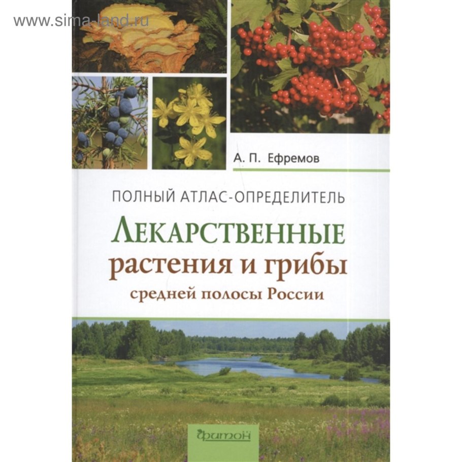 Новиков в.с. - популярный атлас-определитель. Дикорастущие растения