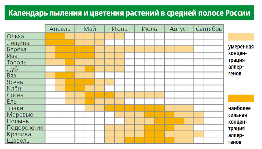 Определитель растений в безлистном состоянии