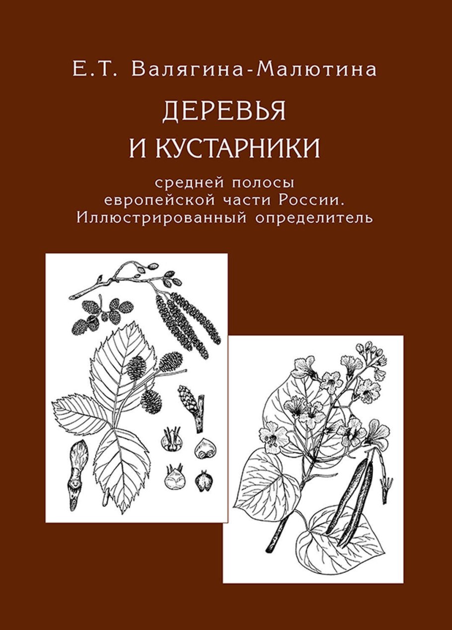Тонколистные ксерофиты