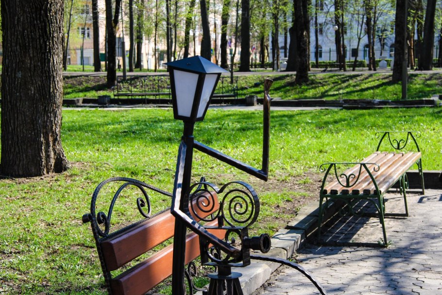 Великобритания парк сквер Green дерево