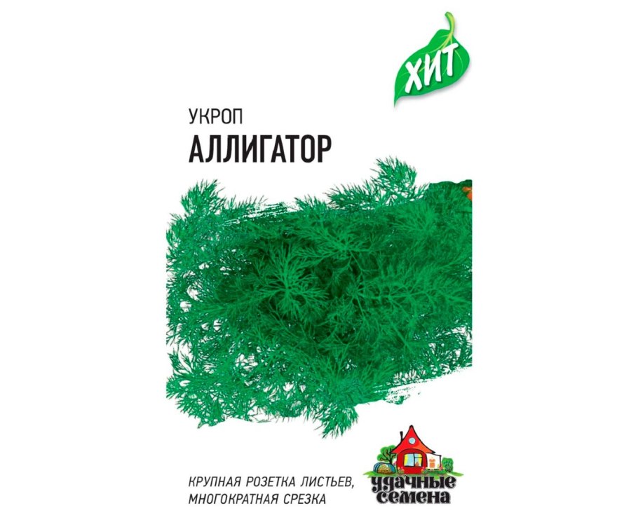 Укроп зонтик