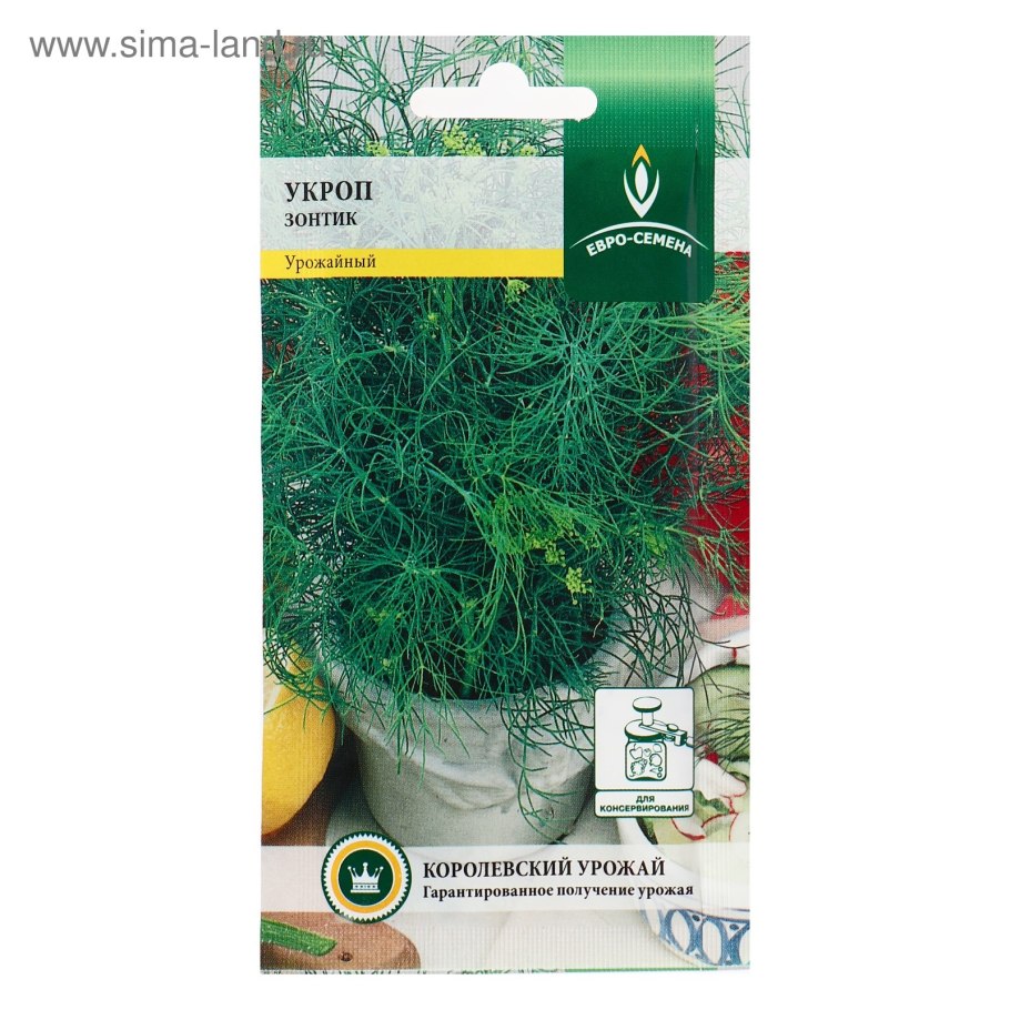 Фото цветок как паутинка цветет желтыми цветами