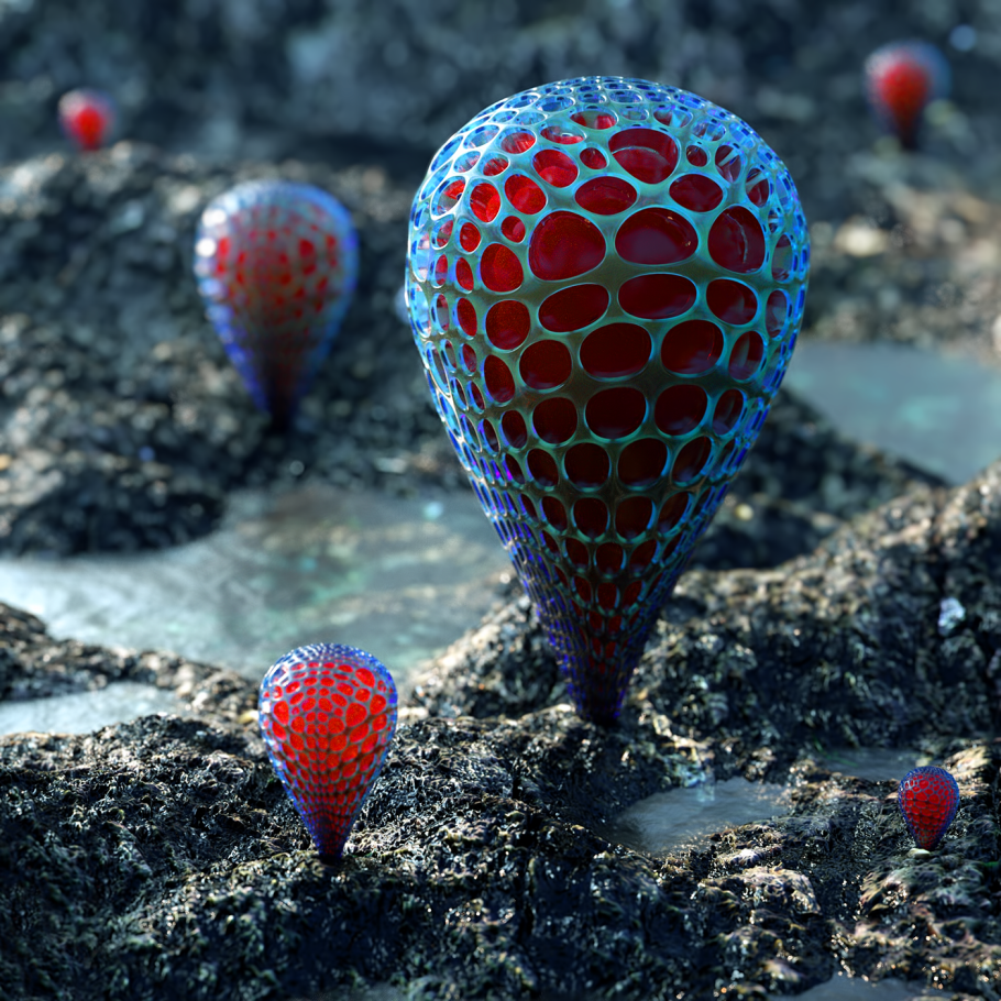 Самые необычные грибы на планете