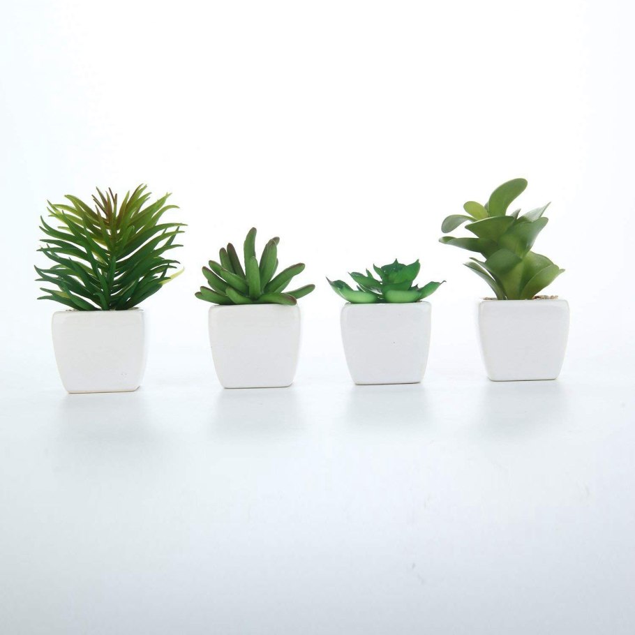 Небольшой цветок в горшке