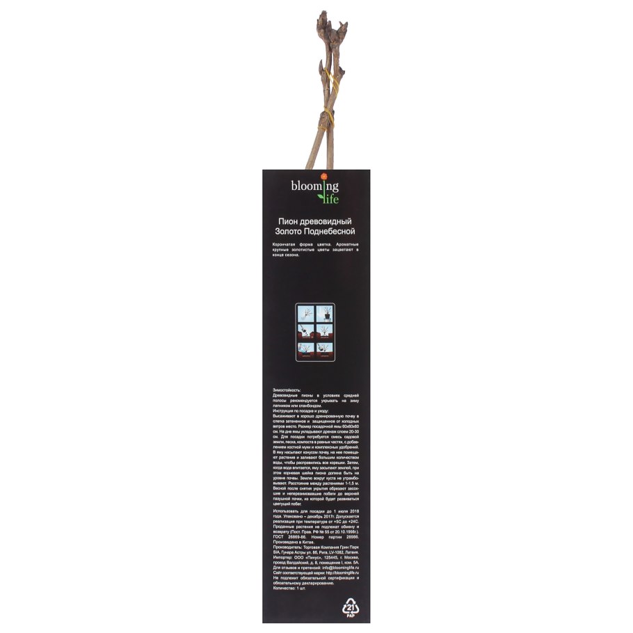 Пион Йеллоу Краун