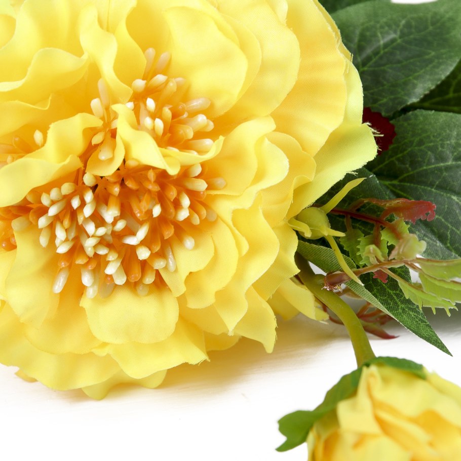 Желтые пионы